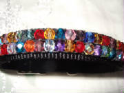 1.colorcollar.jpg