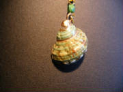 greenshellnecklace1.jpg