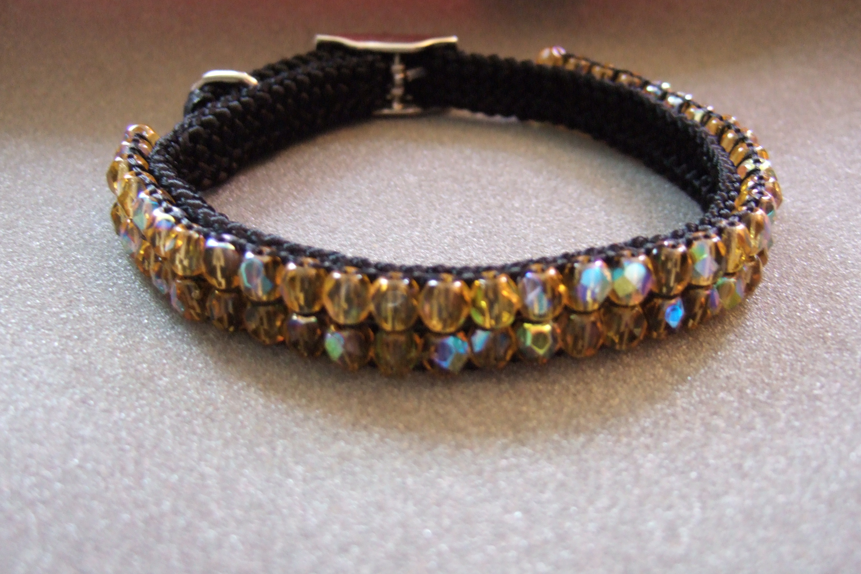 2006ambercollar.jpg